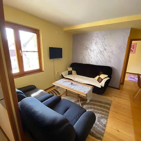 Apartment Mijovic -